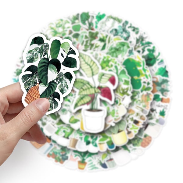 100 stk. søde, dejlige grønne plante klistermærker Hydroflasks Vandflasker Laptop Telefon Computer Vinyl Løv Botaniske Akvarel Blomster Kaktus Sukkulent G