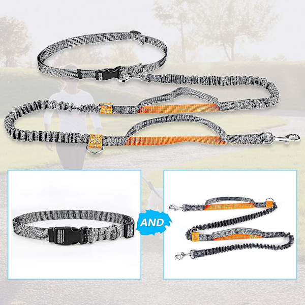 Händerfri hundkoppel, justerbar elastisk joggingkoppel med reflekterande sömmar för hundar upp till 110 kg