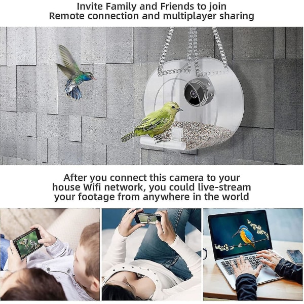 Smart fuglefoder med kamera, fuglekamera med kæde til udendørs ophængning, HD 1080p nat-version videokamera