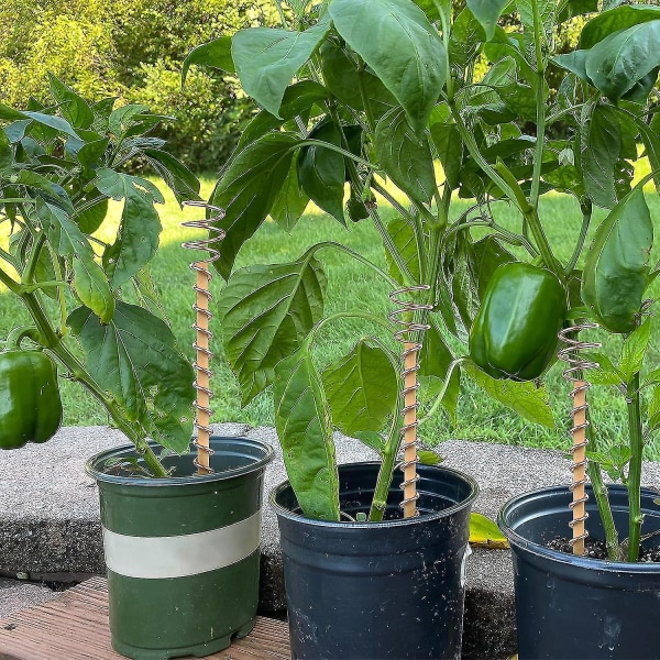 Elektrokultur plantepinne, kobbertråd plante støttepinner elektrokultur hagearbeid kobberspole antenner for voksende planter - 6 stk