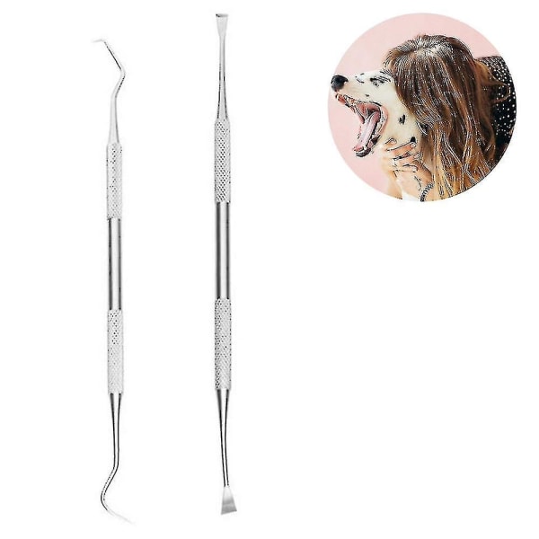 Professionelt tandværktøj, hundetandtandskaller og tandstensfjerner