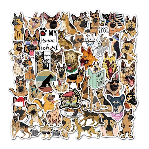 50 Collie-tarra