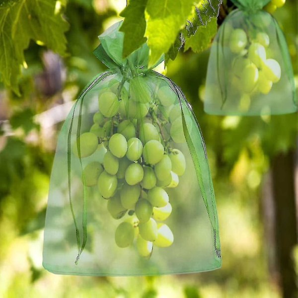 100 stk. Bunch Protection Bag 30x20cm/10x15cm Grape Fruit Organza Taske med snøre giver total beskyttelse（15cm）