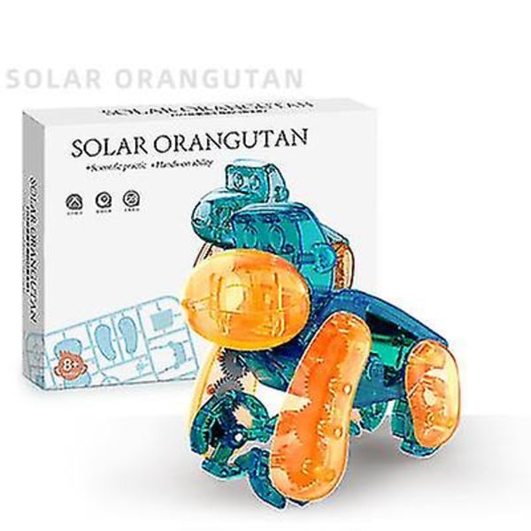 Solenergi liten snigel Orangutang leksak Vetenskap och utbildning Barns intelligensförsamling（28.6RMB）
