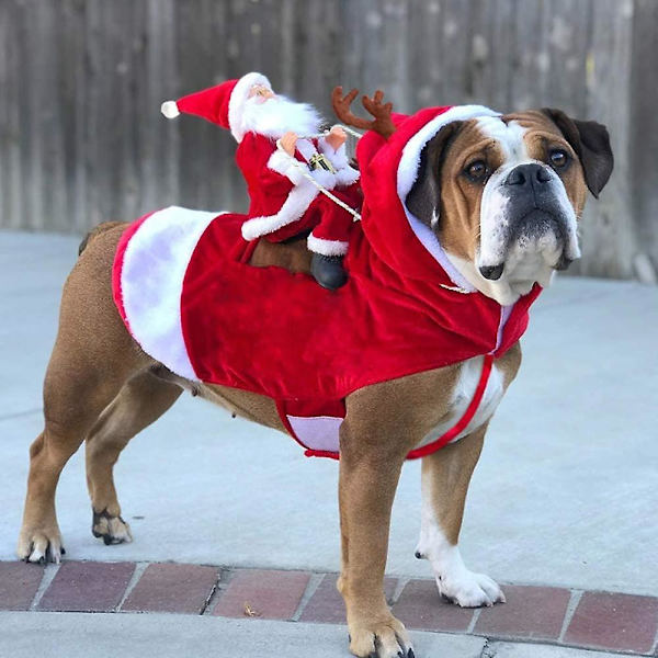 Löpande Jultomte Hundkostymer, Jultomte Ridande På Husdjursdräkt Klä Upp Kläder För Små Stora Hundar Katter Kläder Husdjursdräkt