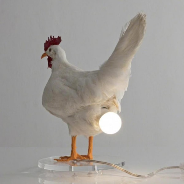 Taksidermi Kylling Lampe Dekorasjon Kreativ Simulering Verpehøner Dyrekylling