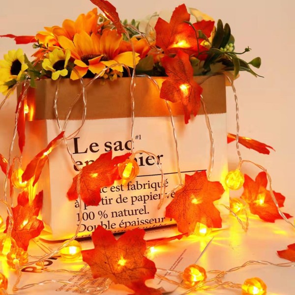 GHYT Pumpa Ljus & Förstorade Lönnlöv Höst ljusslingor Halloween Pumpor Ljus, 10Ft 20LED Vattentät Batteridriven Höst Dekorationer Hem Inomhus