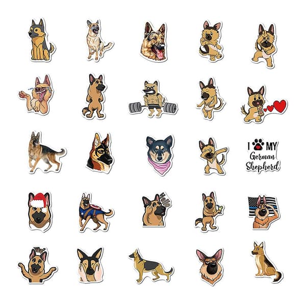 50 Collie-tarra