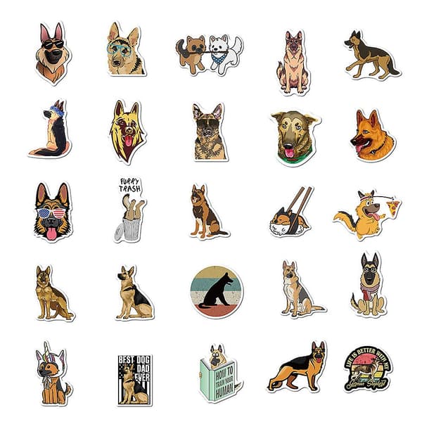 50 Collie-tarra
