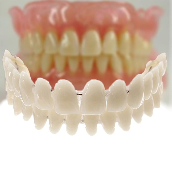 Konstgjorda löständer Dubbla plast Dubbla rader av falskt tandprotes Oral Teaching Model Tool