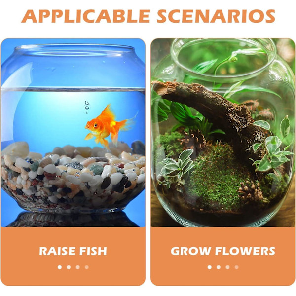 Liten krossäker Betta-fiskbehållare (2-pack) - Alipis genomskinlig plastskål för skrivbord, multifunktionellt akvarium, dricksvatten, godisförvaring, vas