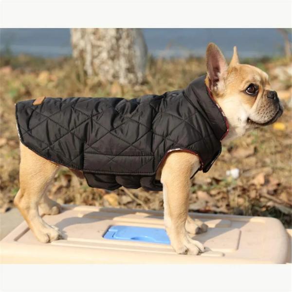 Hundkappa Hundjacka för små hundar, Vadderad dunjacka Reversibel design Väst Regnrock, Röd, S (Bröst: 44-52cm, Rygg: 32cm)