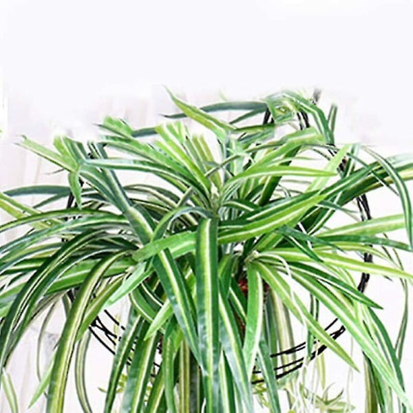 Kunstig Chlorophytum Kunstig Ivy Hængende Realistisk Grønne Blade Vægophæng Til Hjemmehave Kontor Veranda Bryllupsindretning