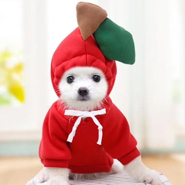 Hund hoodie Sweatshirt Valp tröja för valpar Pojkar Flickor Hundar -  Chihuahua Valp Husdjur Katt Varm ullrock Set Vinter Höst Hundkläder,Form2,S  b3db | Fyndiq