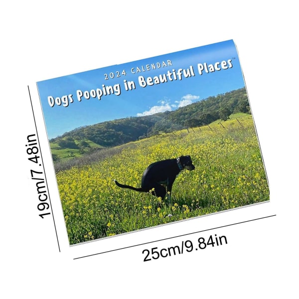 2024 Hunder som bæser på vakre steder, kalender（A）