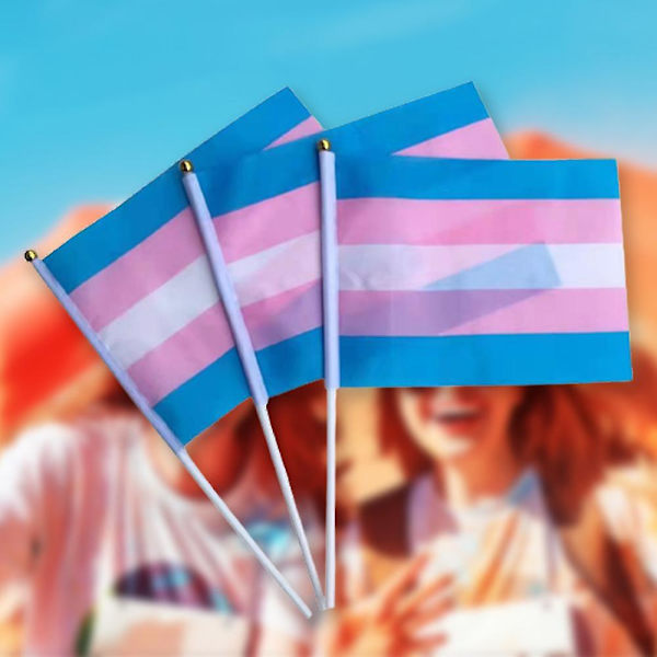 Lgbtq regnbågsflaggor för hand, tydligt tryckta regnbågsflaggor för Lgbtq-parader och sammankomster（50 st C）