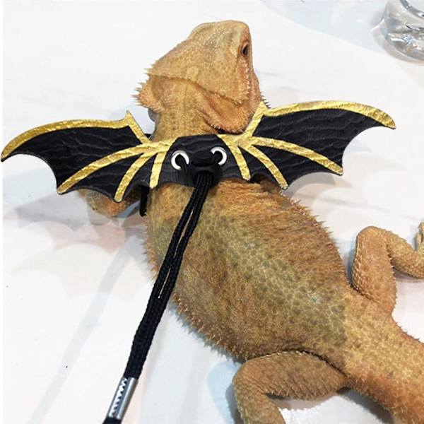 3-pack skäggagamkoppel och selar, skäggagamsele, mjukt läder avtagbart justerbart reptilödla vinge koppel (svart)