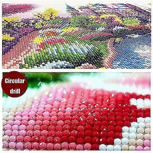 DIY 5D Diamantmålning efter siffror Kit, Mandala Yin Yang Blå Ros, Full Borr Strassmålning med Diamantkristaller (Mandala)
