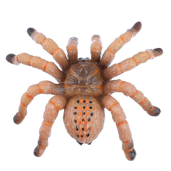 Hämähäkkimusta Hämähäkkisimulaatio Hyönteinen Kiinteä malli Lapset Hankala pelottava rekvisiitta