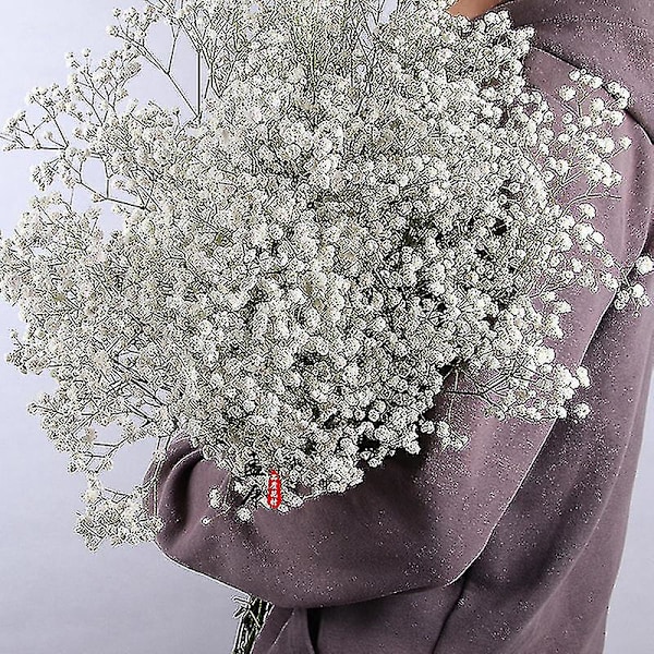 Luonnolliset tuoreet kuivatut kukat Gypsophila-kimppu Hääkoti sisustus