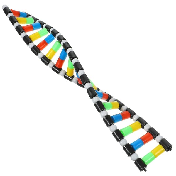Lasten Tylonal Science Educational Teaching Instrument Toy Dna Molecule Model Science Dna Model Dna Model Teaching