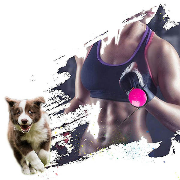 Händerfri Retractable Hundkoppel Handledsrem Händerfri Koppel För Hundar Katt
