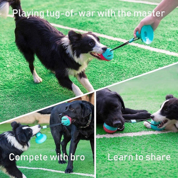 WABJTAM Hundleksaker för aggressivt tuggande, valpträningsgodis, leksaker för tandrepa, bollleksaker för matdistribution för små och stora hundar (röd och blå)