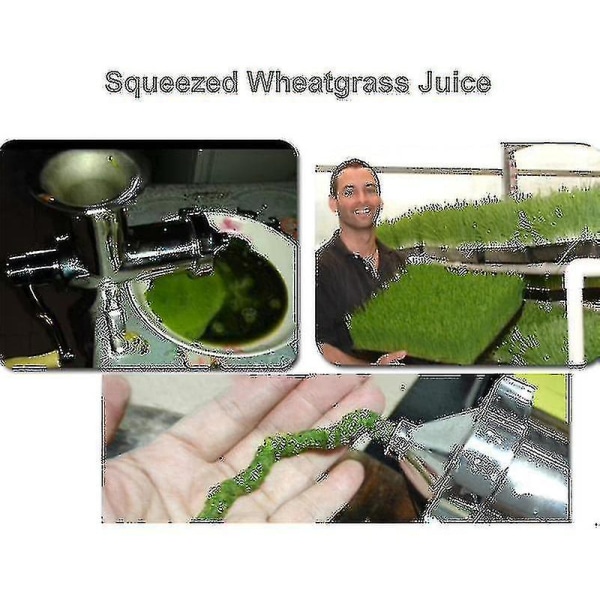Srbtv-hand Rostfritt Stål Vetegräs Juicer Manuell Auger Långsam Press Frukt Vetegräs Grönsak Apelsinjuice Extraktor