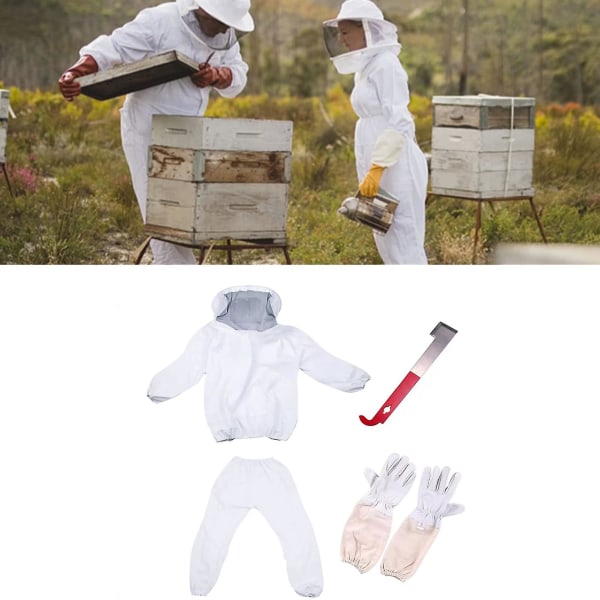 Winter Promotion,protective Suit For Professional And Beginner Beekeepers With Gloves And Bee Hive.