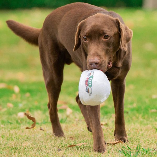 WABJTAM Warner Brothers för husdjur Vänner TV-program Plysch hund leksak | Söta pipande Vänner leksak för alla hundar | Stoppade hund leksaker med pip, Vänner Memora