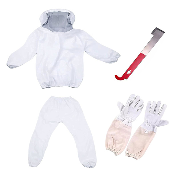 Vinterkampanj, skyddande dräkt för professionella och nybörjarbiodlare med handskar och bikupa.