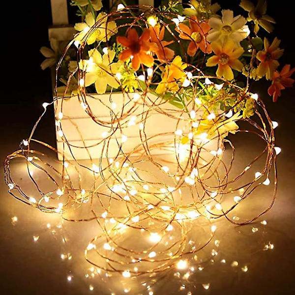 Batteridriven koppartrådsstjärnfe-lampa med LED-lampor