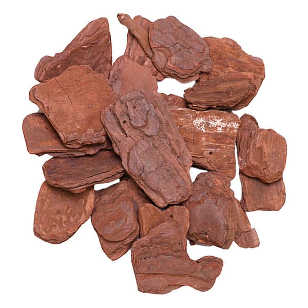 1 Pack Reptilbox Tallbarkskog Landskapsmaterial (500g/Pack)