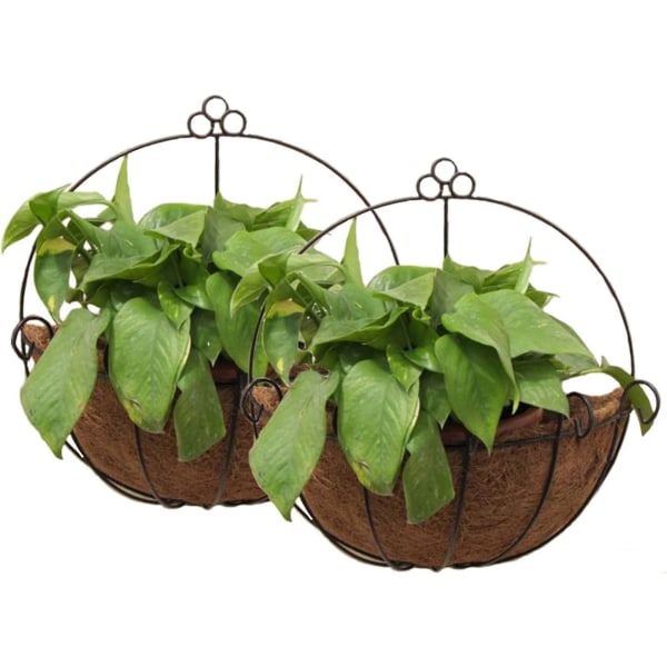 Wabjtam 2-pack metall vegghengende planterkurv med kakaofoner - flott for innendørs eller utendørs planter