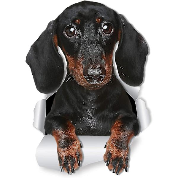 Söta Tax-väggdekaler - 2-pack - Wienerhund Toalettsticker 3D Hund Bilfönster och Stötfångar-dekal - Detaljhandelspaket Taxälskare Gi