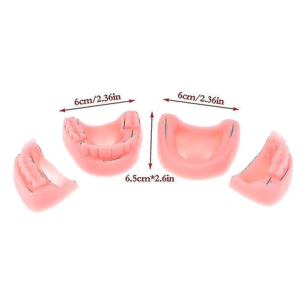 4kpl hammaslääketieteen simulaatiosuun ompeleen malli ikenen ompeleen opetusvälineitä