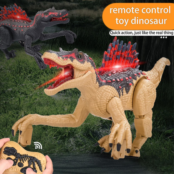 Fjernkontroll Dinosaur For Barn Plast Elektronisk Barn Bursdagsgave Walking Robot 2,4g Flerfarget Valgfritt (Sort)
