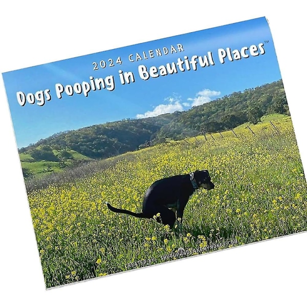 2024 Hunde Pooping Calendar - 2024 Wall Monthly Funny Gag Hundekalender Prank Gift
