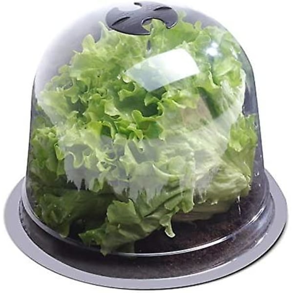 Salad Bell X5 Växthus för Växter