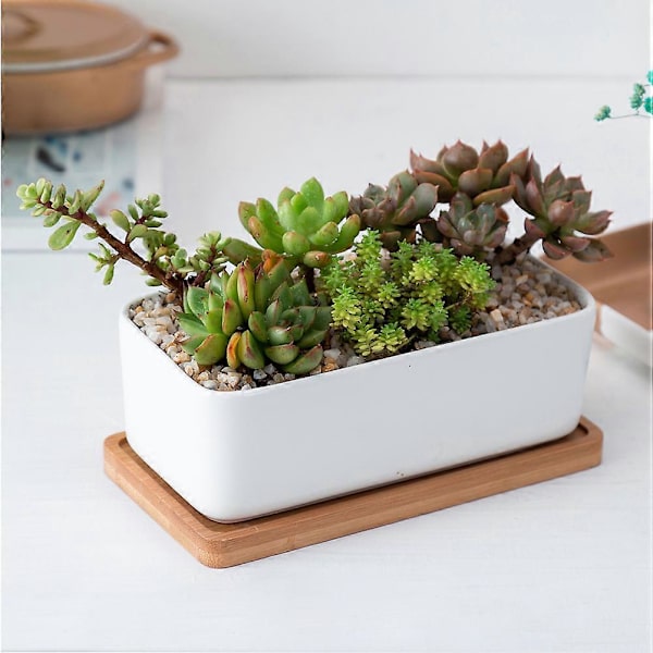 1 set avlång blomkruka i keramik med bambu-bricka, kruka för suckulenter, trädgårdsbonsai, blomkruka, vit (1 st blomkruka, 1 st bambu-bricka)