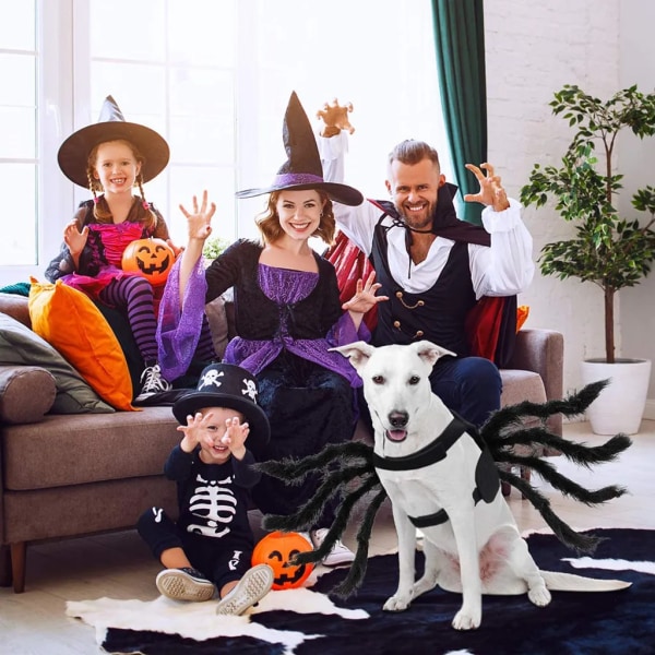 Halloween-kostym Spindelhunddräkt konstgjorda spindelben Halloween-fest  husdjurskläder Karneval Varma cosplaydräkter för kattvalp(svart,L) 2faf |  Fyndiq