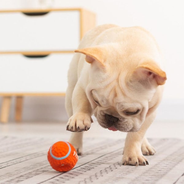 Rolling Ball Leksak Kompakt Hund Leksak Tvättbar Hållbar Husdjur Stress Relief Leksaker För Katt Hund Flerfärgad Tillval (Volleyboll)
