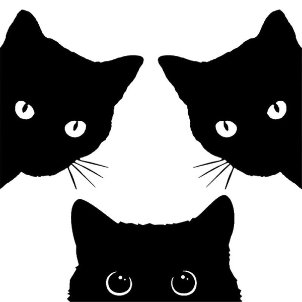GHYT Bilklistermærker solide KAT bilklistermærker kigger frem sort kat bilrude klistermærker ridse klistermærker dekorative klistermærker, sæt med 3 stk