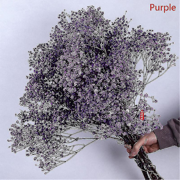 Luonnolliset tuoreet kuivatut kukat Gypsophila-kimppu Hääkoti sisustus