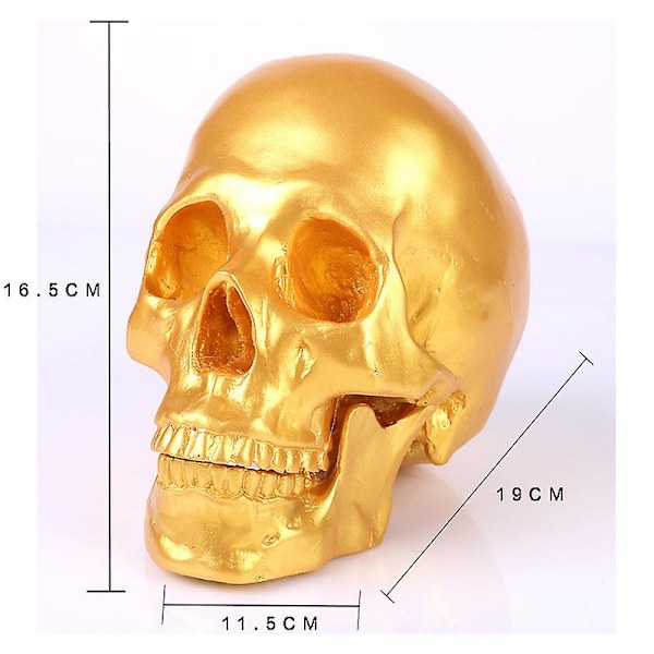 Hartsstatyer av harts för dekoration Kreativ dödskallmodell Skulptur Heminredning Halloweenfestdekorationsrekvisita