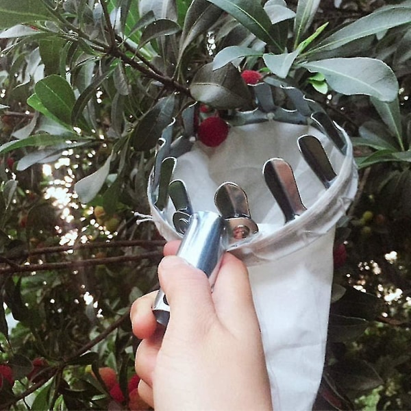 Teleskopisk handtagslös fruktplockare, metall Mirabelle Cherry Apple Picker