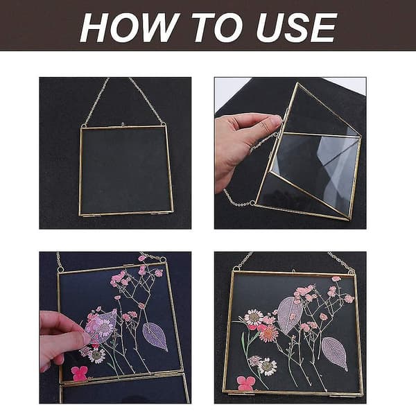 Väggmonterad glasram för pressade blommor - Glasram för