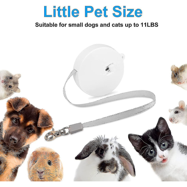 Automatisk uttrekkbar hundebånd for små hunder Katter, kjæledyr utendørs turgåing Nylon trekktau 6,5 fot