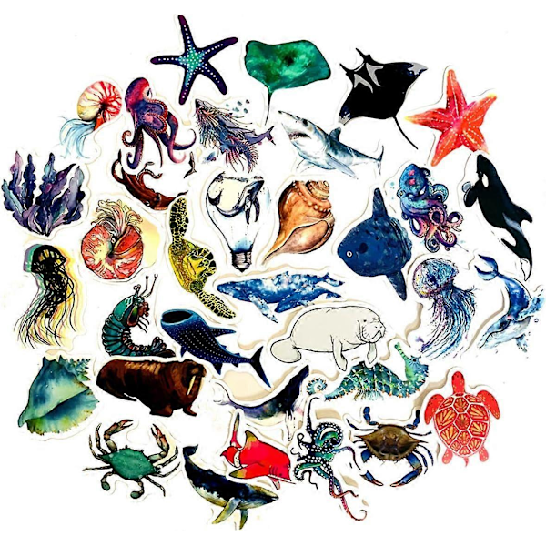 Sealife-klistermärken 50 st Livliga Coola Säl Delfin Sälvalp Manet Sköldpadda Klistermärke för Laptop Vattenflaska Bil, Cartoon Vitalitet Estetisk Klistermärkespaket