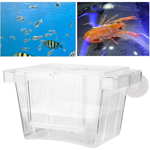 Akryl fiskodlingslåda, fiskodlingslåda, skydda babyfisk kläckning